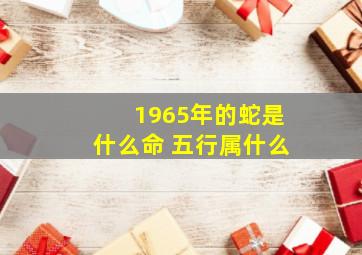 1965年的蛇是什么命 五行属什么